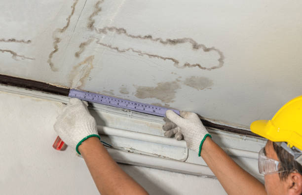 Affordable Burst Pipe Water Damage solutions in Wilson's Mills, NC